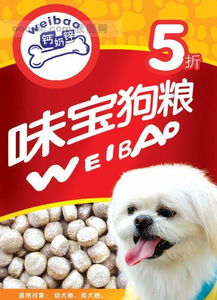 廣州印刷設計加工,食品廣告等宣傳單設計 價格 廠家 圖片